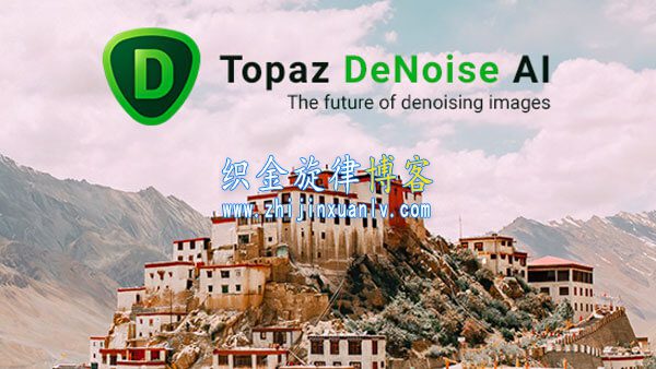 图像快速降噪工具 Topaz DeNoise AI v2.2.7 汉化破解版插图