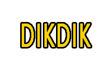 视频编辑软件 DIKDIK Video Kit 5.0.3.0 多语言-织金旋律博客